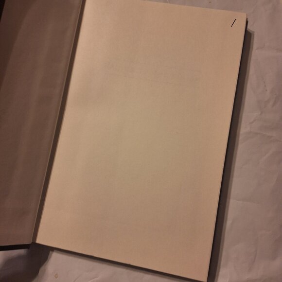 racing to the finish my story - Picture 2 of 5